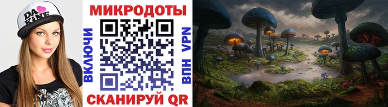 как найти закладки  Красково  Псилоцибиновые грибы Cubensis 